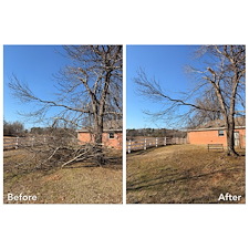 Rapid-Recovery-Storm-Debris-Cleanup-In-Oxford-MS 0